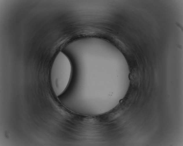 X0000096660454200802051000