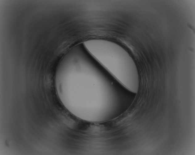 X0000096660455200802051000