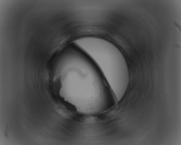 X0000096660456200802051000