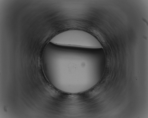 X0000096660457200802051000