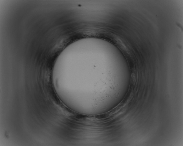 X0000096660458200802051000