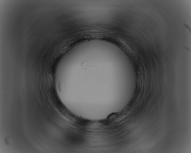 X0000096660459200802051000