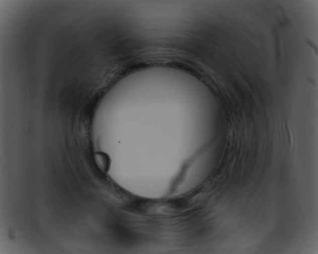 X0000096660460200802051000