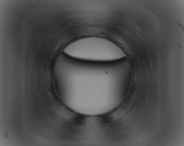 X0000096660461200802051000