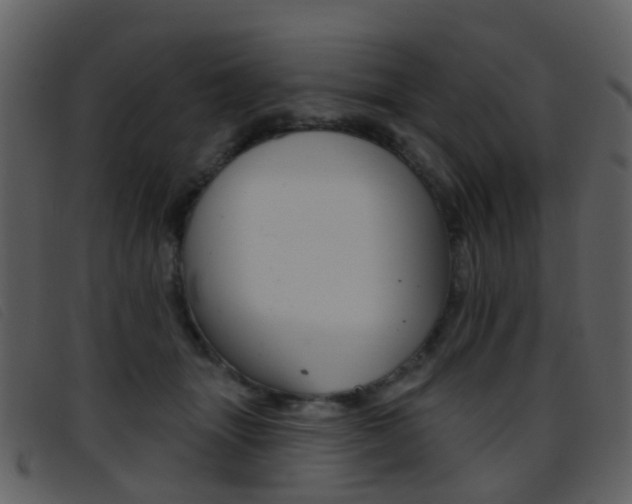 X0000096660463200802051000