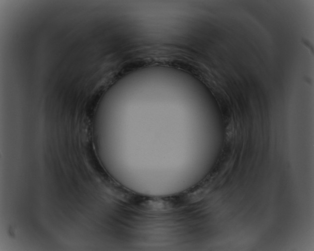 X0000096660464200802051000