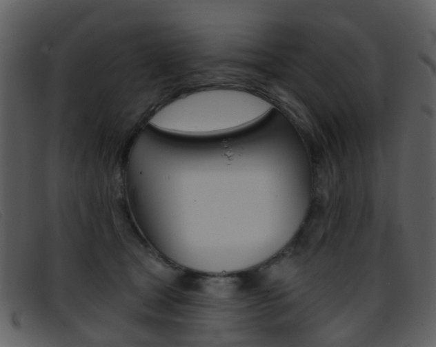 X0000096660465200802051000