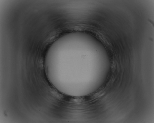 X0000096660466200802051000