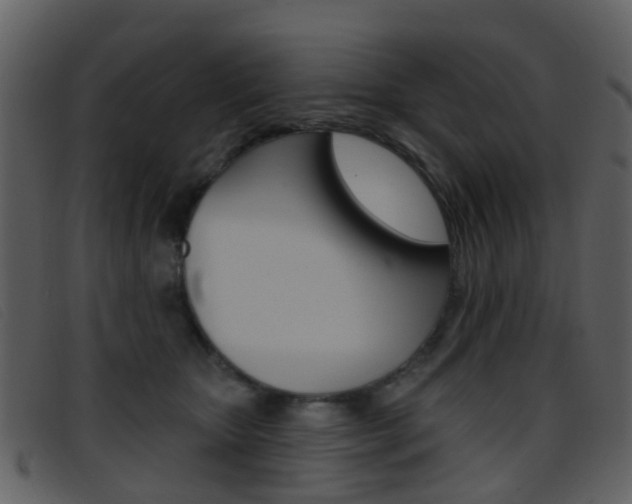 X0000096660467200802051001