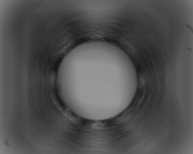 X0000096660468200802051001