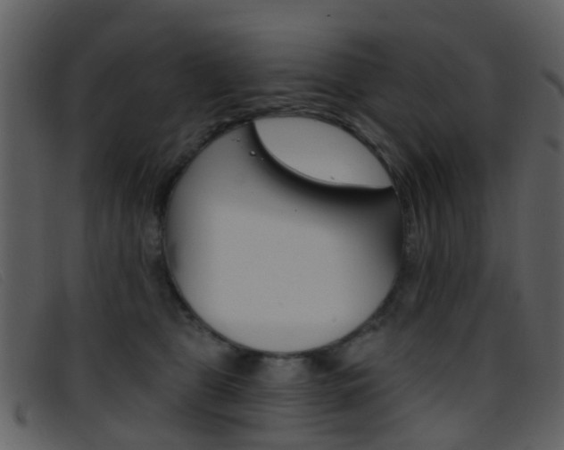 X0000096660469200802051001