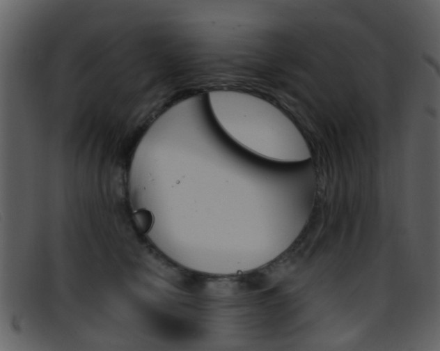 X0000096660470200802051001
