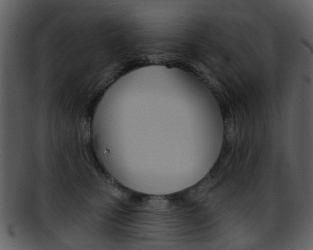 X0000096660471200802051001