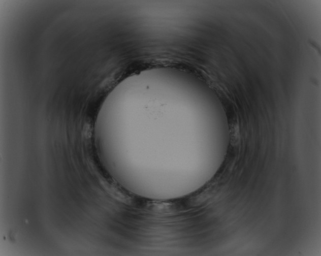 X0000096660472200802051001