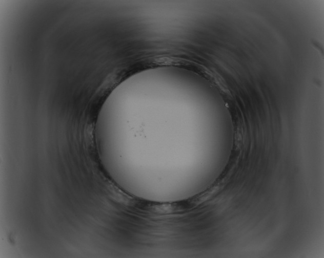 X0000096660473200802051001