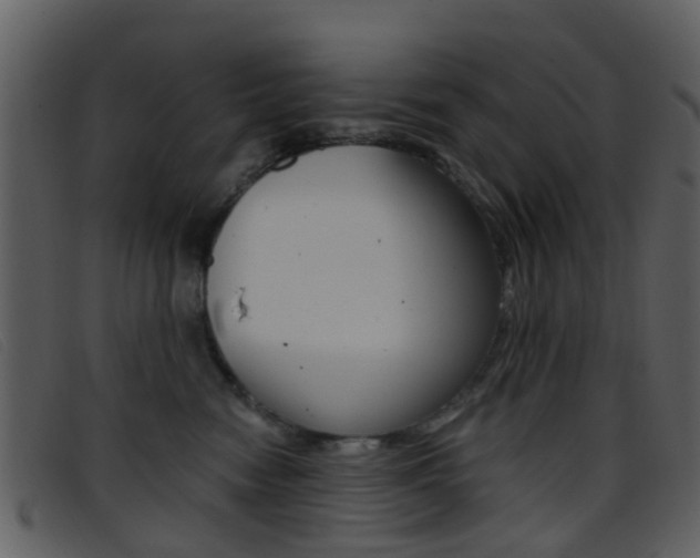 X0000096660474200802051001