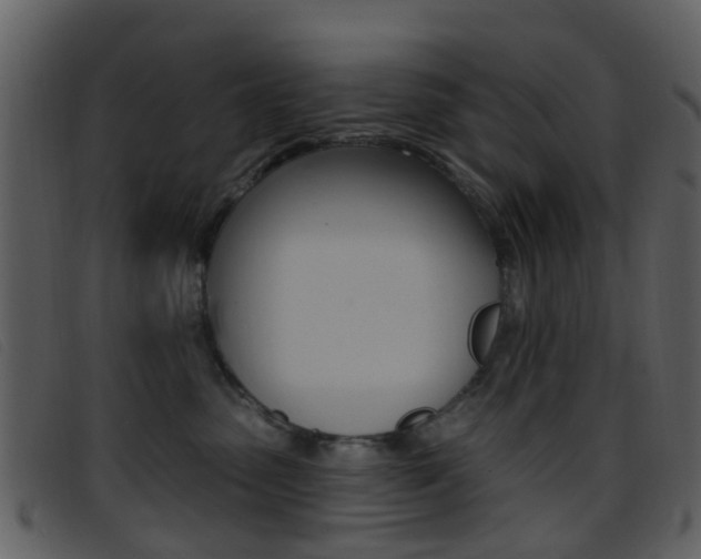 X0000096660475200802051001