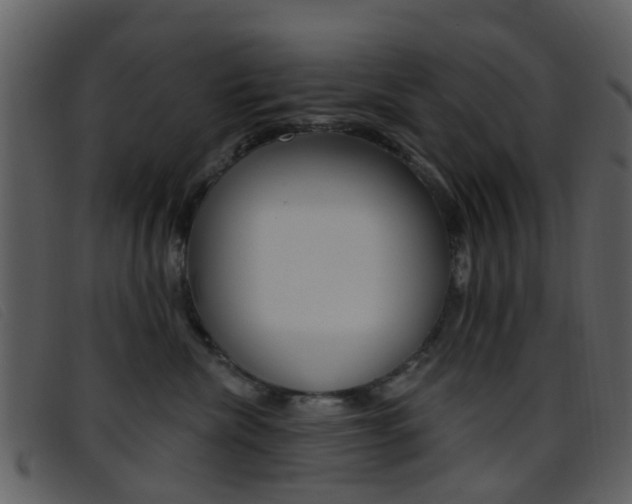 X0000096660476200802051001
