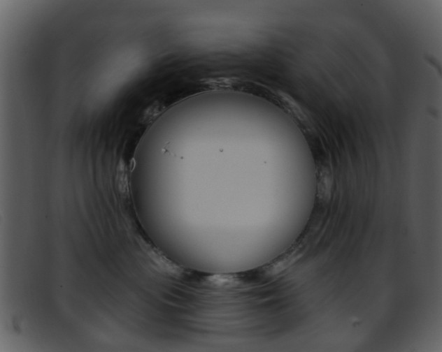 X0000096660477200802051001