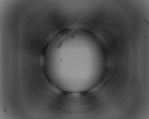 X0000096660478200802051001