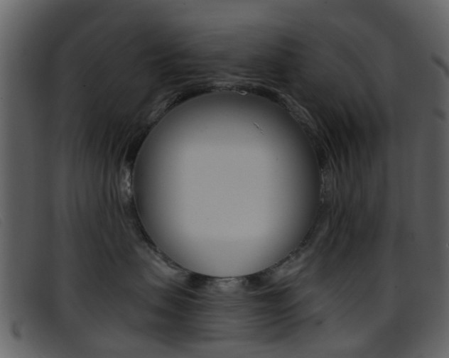 X0000096660479200802051001