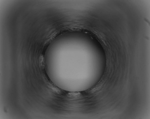 X0000096660480200802051001