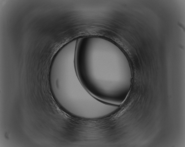 X0000096660481200802051000
