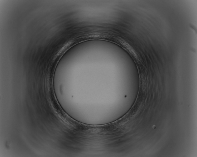 X0000096660482200802051000