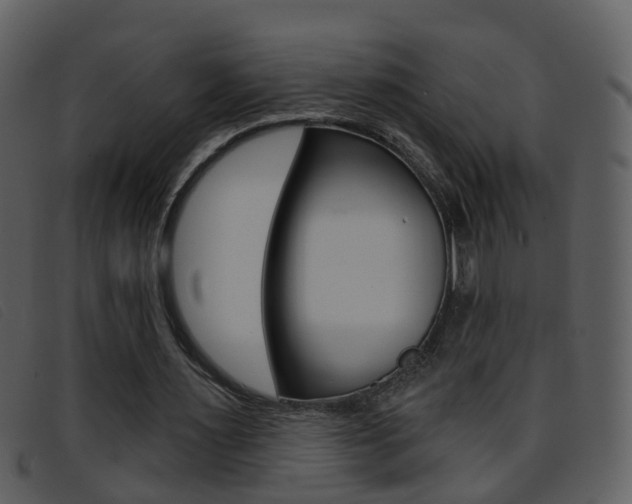 X0000096660483200802051000