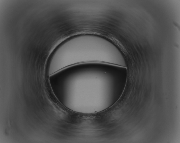 X0000096660484200802051000
