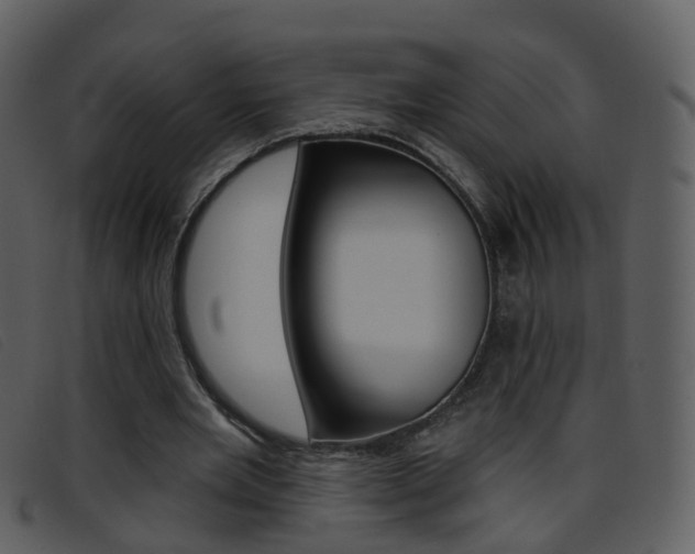 X0000096660485200802051000