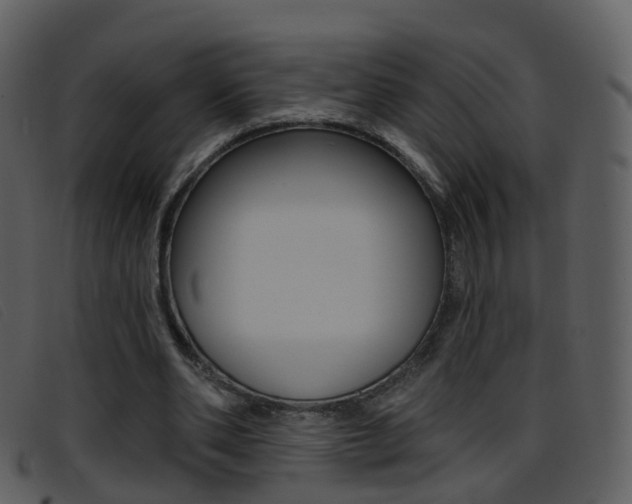 X0000096660486200802051000