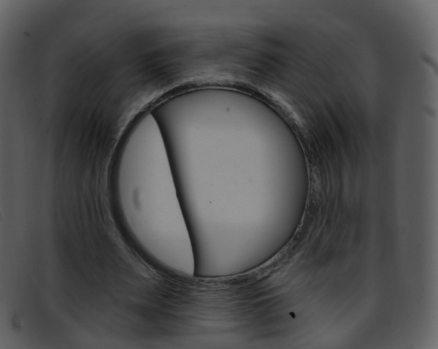 X0000096660487200802051000