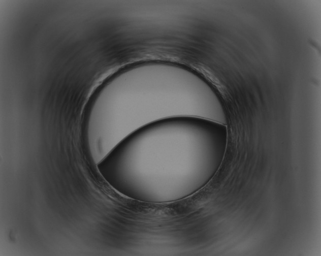 X0000096660488200802051000