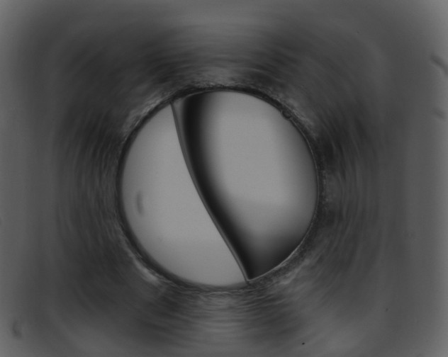 X0000096660489200802051000