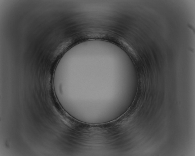 X0000096660490200802051000