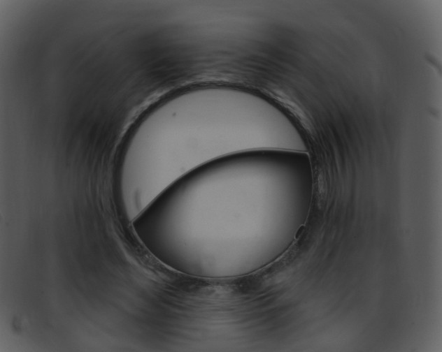 X0000096660492200802051000