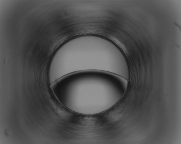 X0000096660493200802051000