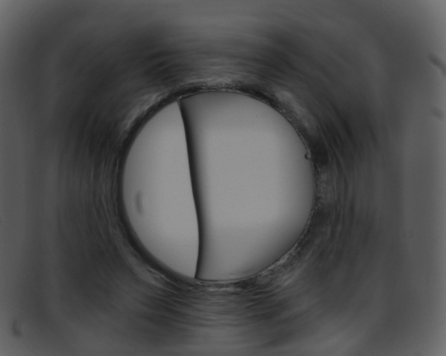 X0000096660495200802051000