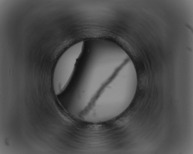 X0000096660497200802051000