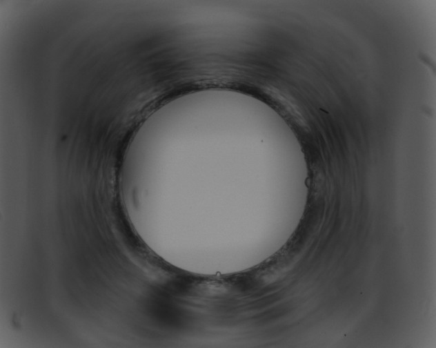 X0000096660498200802051000