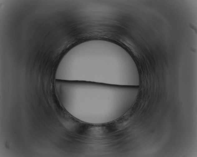 X0000096660499200802051000