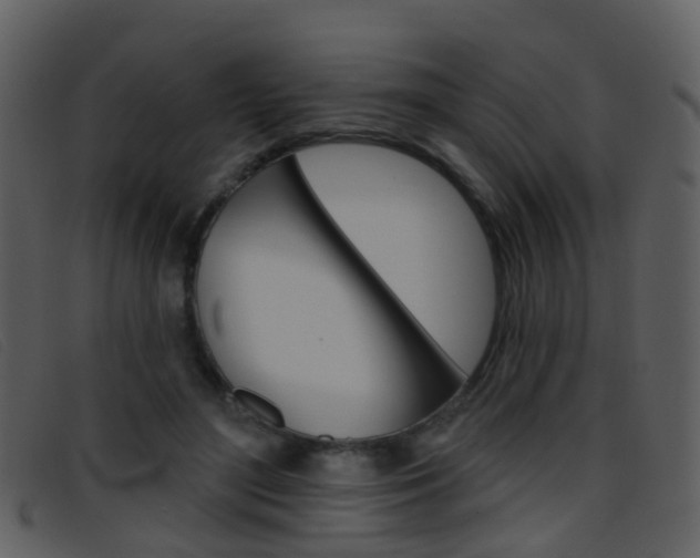 X0000096660500200802051000