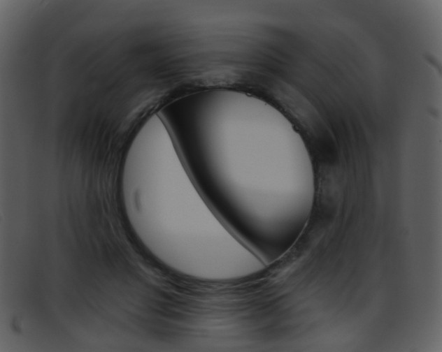 X0000096660501200802051000