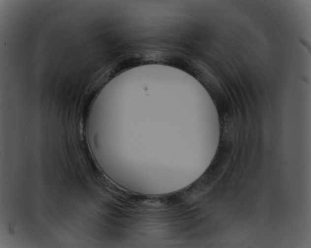 X0000096660502200802051000