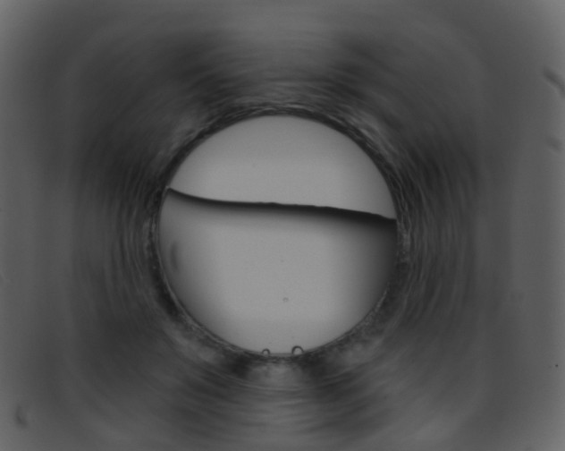 X0000096660503200802051000