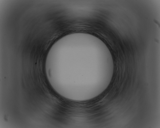 X0000096660504200802051000
