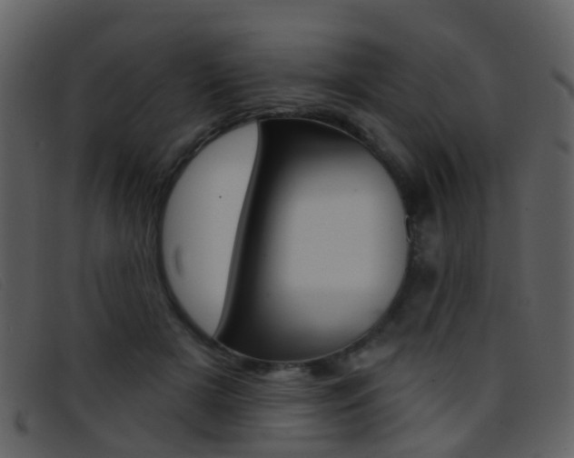 X0000096660505200802051000