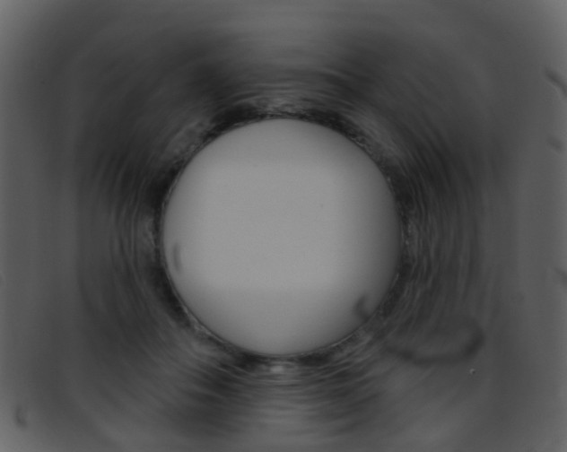 X0000096660506200802051000