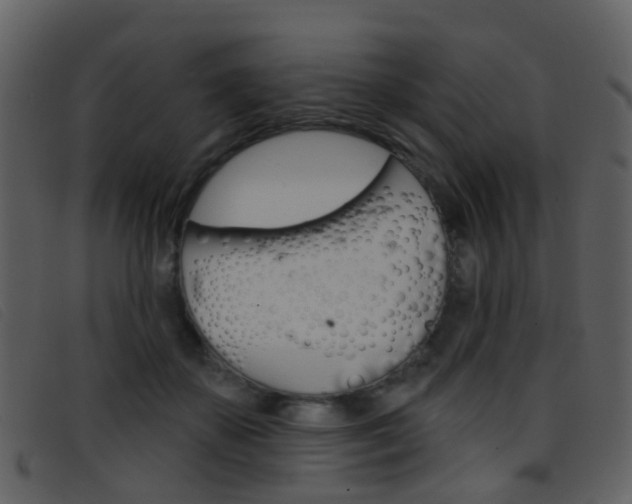 X0000096660507200802051000